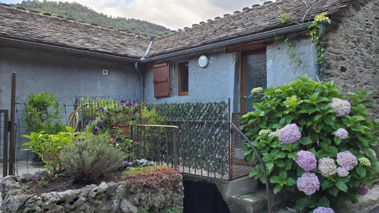Gite De Combelebouze En Cevennes - Cosy, Confort Et Climatise - 3 Etoiles Saint-Privat-de-Vallongue Exterior photo